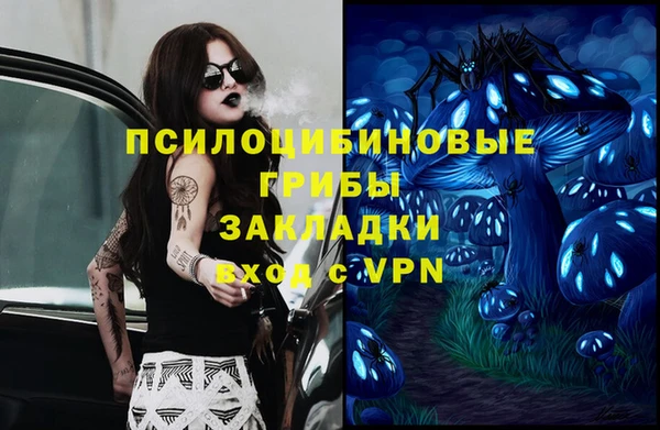 скорость Абаза