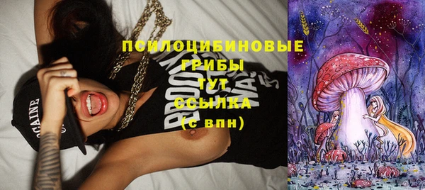 скорость Абаза