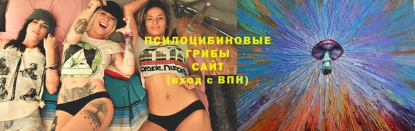 скорость Абаза