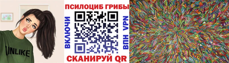 Галлюциногенные грибы GOLDEN TEACHER  продажа наркотиков  Дербент 